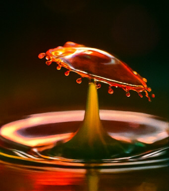 몰입형 모험의 시작