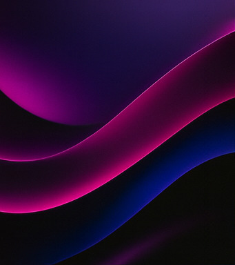 극한 감각의 몰입 경험